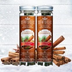 Scented Ornaments, 2-Pack- 6ct Bottle, 2 Dashes Of Cinnamon, Fragrance-Infused Paper Sticks
