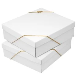 National Tree Company 20-Piece Christmas Tree Ornament Set, Arctic Lights Collection -National Tree Company AH63 AL20 8