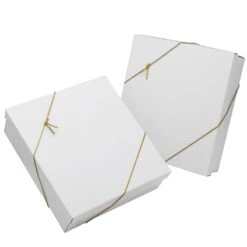 National Tree Company 20-Piece Christmas Tree Ornament Set, Alpine Collection -National Tree Company AH63 ALP20 8