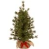 National Tree Company Artificial Christmas Tree, Bristle Cone Pine, Includes Cloth Base, 3 Feet