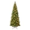 National Tree Company First Traditions Pre-Lit Charleston Pine Snowy Slim Christmas Tree, Clear Incandescent Lights, Plug In, 9 Ft