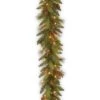 National Tree Company Pre-Lit Artificial Christmas Garland, Green, Evergreen, White Lights, Decorated With Pine Cones, Berry Clusters, Plug In, Christmas Collection, 9 Feet