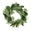 National Tree Company Artificial Wreath Decoration, Green, Woven Branch Base, Decorated With Eucalyptus Leaves, Magnolia Blooms, Flowing Green Stems, Spring Collection, 22 Inches