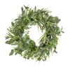 National Tree Company Artificial Wreath Decoration, Green, Woven Branch Base, Decorated With Eucalyptus Leaves, Flowing Green Stems, Spring Collection, 22 Inches