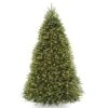 Pre-Lit Artificial Full Christmas Tree, Green, Dunhill Fir, Dual Color LED Lights, Includes Stand, 10 Feet