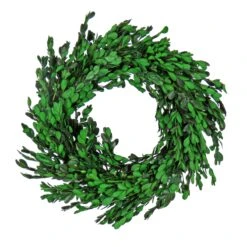 National Tree Company Artificial Wreath Decoration, Green, Lightweight Foam Base, Decorated With Boxwood Flowers, Flowing Green Stems, Spring Collection, 18 Inches