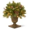 National Tree Company 18in Frosted Berry Porch Bush With Clear Lights