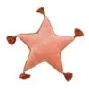 National Tree Company 16" HGTV Home Collection Star Shape Pillow, Blush