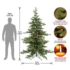National Tree Company 7.5 Ft. HGTV Home Collection Pre-Lit Decorator Tree -National Tree Company HGTVD13 300P 75 Dim