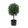 National Tree Company 2 Ft. Boxwood Single Ball Topiary In Nursery Pot