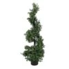 National Tree Company 4 Ft. Boxwood Spiral Topiary In Nursery Pot