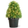 National Tree Company Pre-Lit 18" Artificial Boxwood Tree
