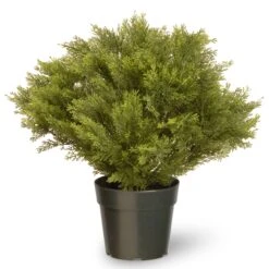 National Tree Company 28" Globe Juniper Tree