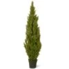 60" Artificial Arborvitae Tree In Growers Pot