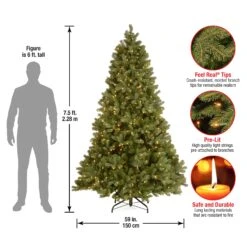 Pre-Lit 'Feel Real' Artificial Full Downswept Christmas Tree, Green, Douglas Fir, White Lights, Includes Stand, 7.5 Feet -National Tree Company PEDD1 312 75 Dim