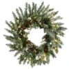 National Tree Company Pre-Lit Artificial Christmas Wreath, Green, Snowy Morgan Spruce, White LED Lights, Decorated With Pine Cones, Christmas Collection, 24 Inches