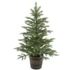 National Tree Company Artificial Entrance Christmas Tree, Norwegian Spruce, Green, White Lights, Includes Barrel Base, 4 Feet