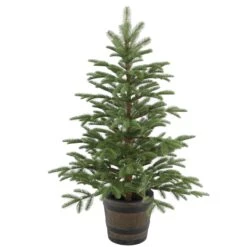 National Tree Company Artificial Entrance Christmas Tree, Norwegian Spruce, Green, White Lights, Includes Barrel Base, 4 Feet