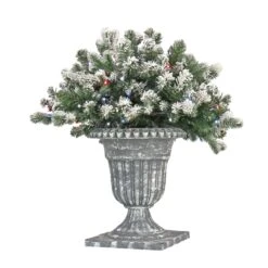 National Tree Company 24" Snowy Sheffield Spruce Porch Bush With Twinkly™ LED Lights