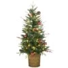 National Tree Company Pre-Lit Artificial Christmas Entrance Tree, Scotch Creek Fir, With Warm White LED Lights, Plug In, 4 Ft