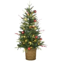National Tree Company Pre-Lit Artificial Christmas Entrance Tree, Scotch Creek Fir, With Warm White LED Lights, Plug In, 4 Ft