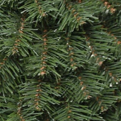 National Tree Company Evergreen Assortment With Battery Operated LED Lights -National Tree Company PRO7 ASST 11 3