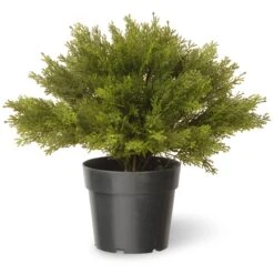 National Tree Company 15" Globe Cedar Tree