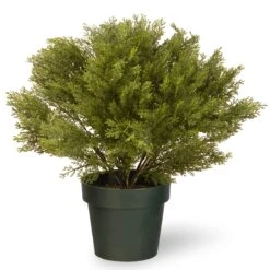 National Tree Company 22" Globe Cedar Tree With Dark Green Round Growers Pot