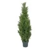 National Tree Company 50" Cedar Tree