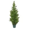 National Tree Company 62" Cedar Tree