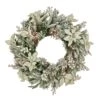 National Tree Company, Pre-Lit Artificial Christmas Wreath, Frosted Colonial, White LED Lights, Battery Powered, 26 In