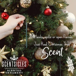 Scented Ornaments, 2 Pack- 6ct Bottle, White Winter Fir, Fragrance-Infused Paper Sticks -National Tree Company RealScentcopy