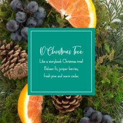 Scented Ornaments, 2- Pack- 6ct Bottle, O Christmas Tree, Fragrance-Infused Paper Sticks -National Tree Company SS Amazon PDP ScentNotes OCT