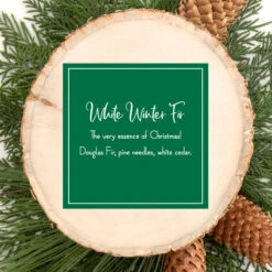 Scented Ornaments, 2 Pack- 6ct Bottle, White Winter Fir, Fragrance-Infused Paper Sticks -National Tree Company SS Amazon PDP ScentNotes WWF