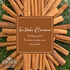 Scented Ornaments, 2-Pack- 6ct Bottle, 2 Dashes Of Cinnamon, Fragrance-Infused Paper Sticks -National Tree Company SS PDP 2022 Scents 2dc