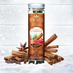 Scented Ornaments, 2-Pack- 6ct Bottle, 2 Dashes Of Cinnamon, Fragrance-Infused Paper Sticks -National Tree Company SS PDP Bottle 2022 2DC