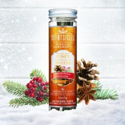 Scented Ornaments, 2-Pack- 6ct Bottle, Spiced Pine Cones, Fragrance-Infused Paper Sticks -National Tree Company SS PDP Bottle 2022 SPC