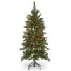 National Tree Company Pre-Lit Artificial Slim Christmas Tree, Green, Tiffany Fir, White Lights, Includes Stand, 4.5 Feet