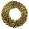 Pre-Lit Artificial Christmas Wreath, Green, Wintry Pine, White Lights, Decorated With Pine Cones, Berry Clusters, Frosted Branches, Christmas Collection, 60 Inches