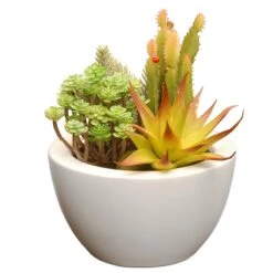 National Tree Company Artificial Potted Plant, Decorated With Various Green Succulents, Includes Stylish White Ceramic Base, Spring Collection, 8 Inches