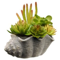 National Tree Company Artificial Potted Plant, Decorated With Various Green And Orange Succulents, Includes Stylish Conch Shell Cement Pot Base, Spring Collection, 11 Inches