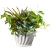 National Tree Company Artificial Potted Plant, Decorated With Ivy, Snake Plants, Leafy Greens, Includes White Ceramic Base, Spring Collection, 11 Inches