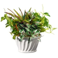National Tree Company Artificial Potted Plant, Decorated With Ivy, Snake Plants, Leafy Greens, Includes White Ceramic Base, Spring Collection, 11 Inches