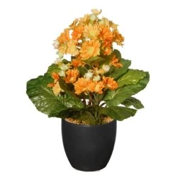 National Tree Company Artificial Potted Plant, Orange Flower Blooms, Includes Black Ceramic Pot, Spring Collection, 12 Inches