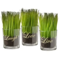National Tree Company Artificial Potted Plant Set, Green Plant Sprouts, Square Glass Pot Base With Messages, Pack Of 3, Spring Collection, 6 Inches Each