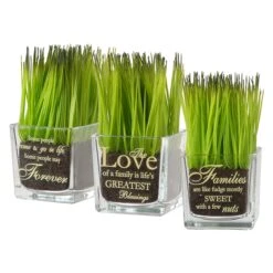 National Tree Company Artificial Potted Plant Set, Green Plant Sprouts, Square Glass Pot Base With Messages, Pack Of 3, Spring Collection, 7 Inches Each