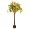 National Tree Company Artificial Potted Tree, Wisteria, Decorated With Yellow Flower Blooms, Includes Black Pot Base, Spring Collection, 4 Feet