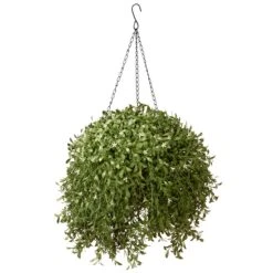 National Tree Company Artificial Hanging Basket, Argentea Plant, Green, Outdoor Collection, 18 Inches