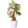 National Tree Company Artificial Potted Plant Decoration, Philodendron, Includes White Ceramic Pot, Spring Collection, 21 Inches