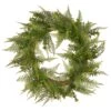 National Tree Company Artificial Hanging Wreath, Green, Boston Fern, Woven Branch Base, Decorated With Fern Leaves, Spring Collection, 22 Inches